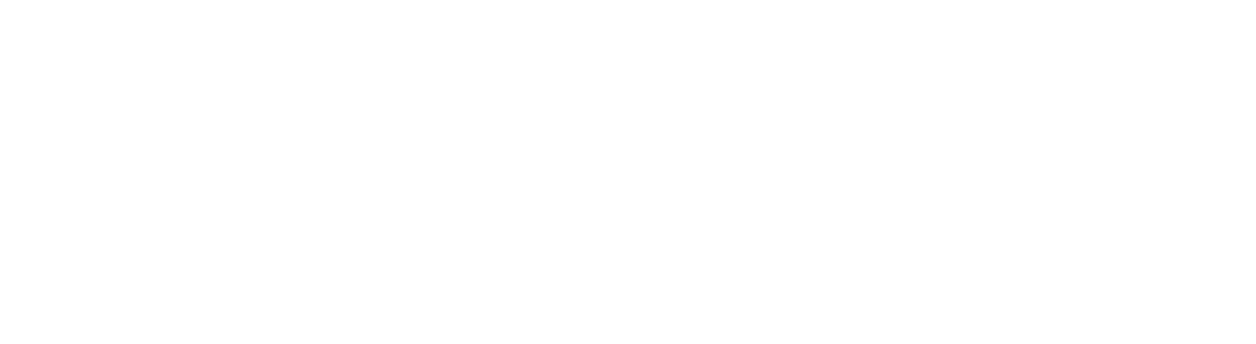CV Wealth Partners